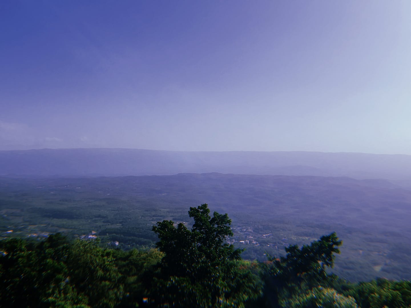 Sendō #22: Felt Like A Dream