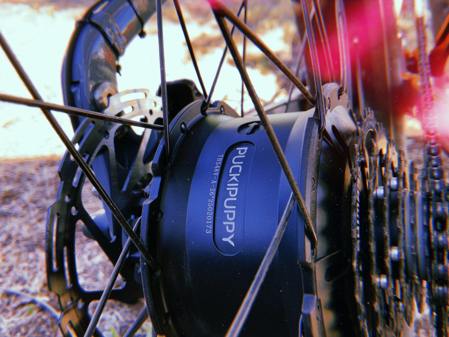 Review: Puckipuppy Labrador Pro